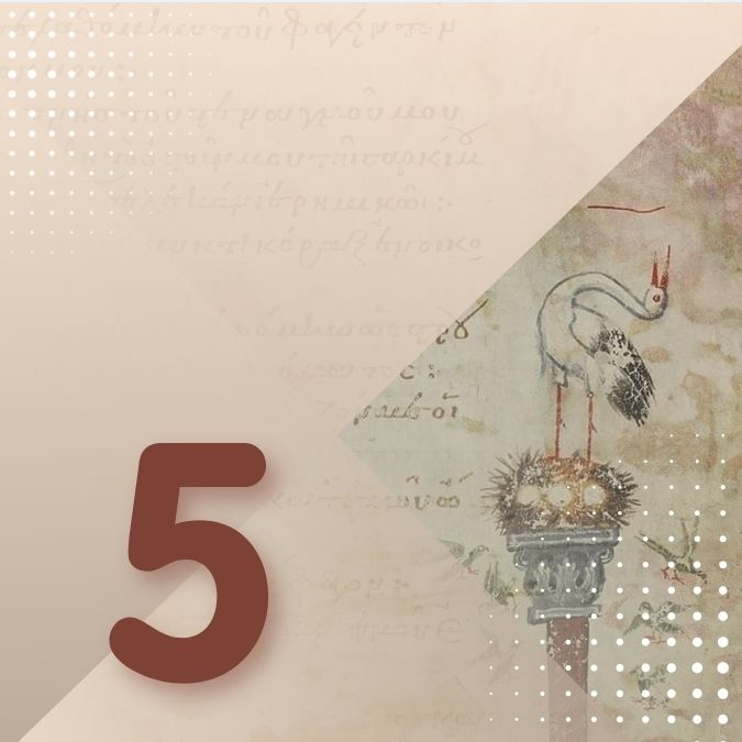5. Οργανώσεις και 20ός αιώνας