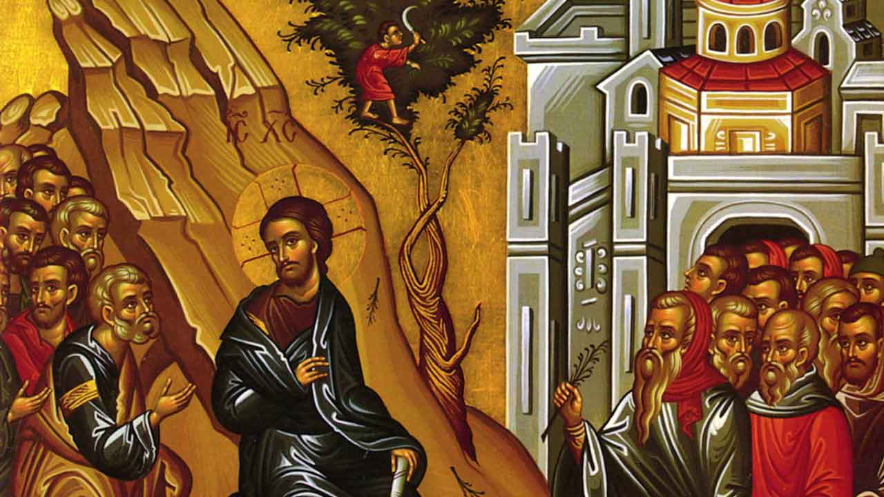 Κυριακή των Βαΐων - Η Βαϊοφόρος - Ευαγγέλιο Κυριακής - Λατρευτική Ζωή - Απαρχή - Θεολογία