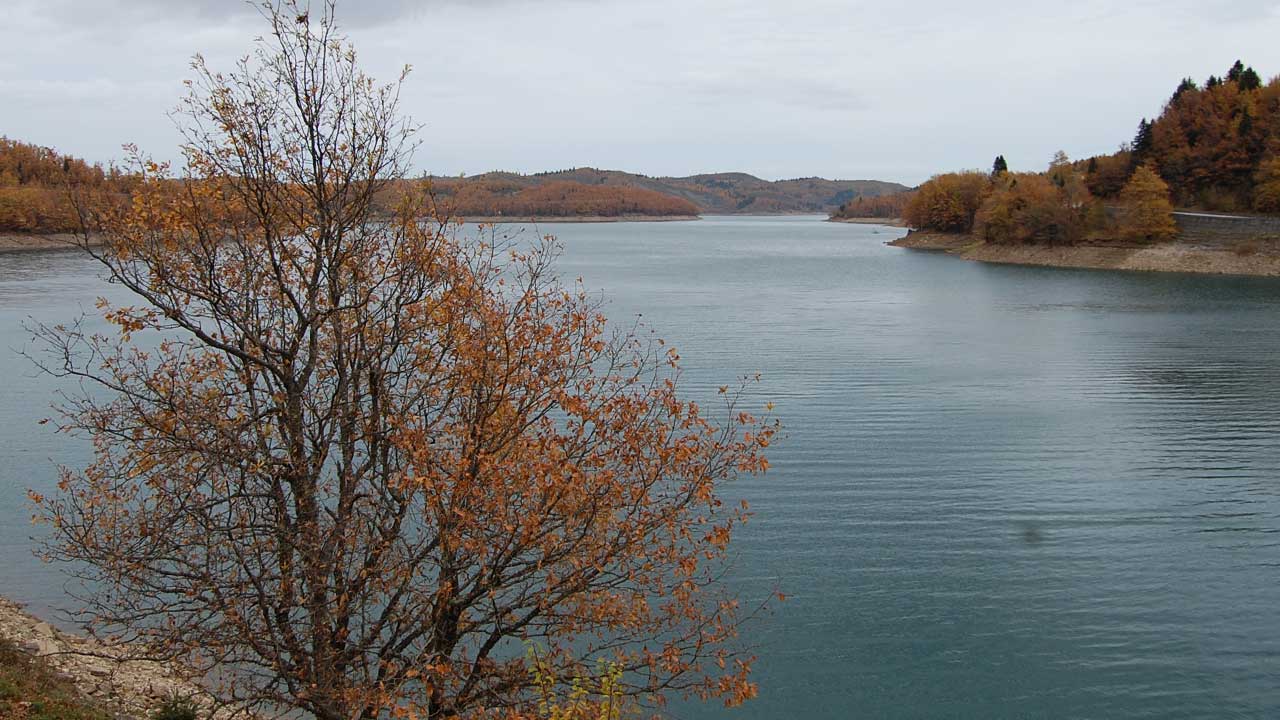 Ελθέ... - Κείμενα - Θεολογία - Απαρχή