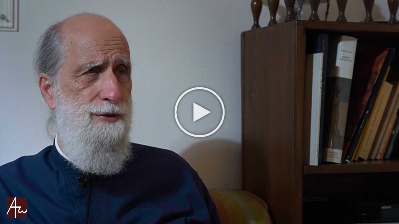 Σχιζοφρένια και ψυχοπαθολογικοί νόσοι - Εκπομπές - Απαρχή