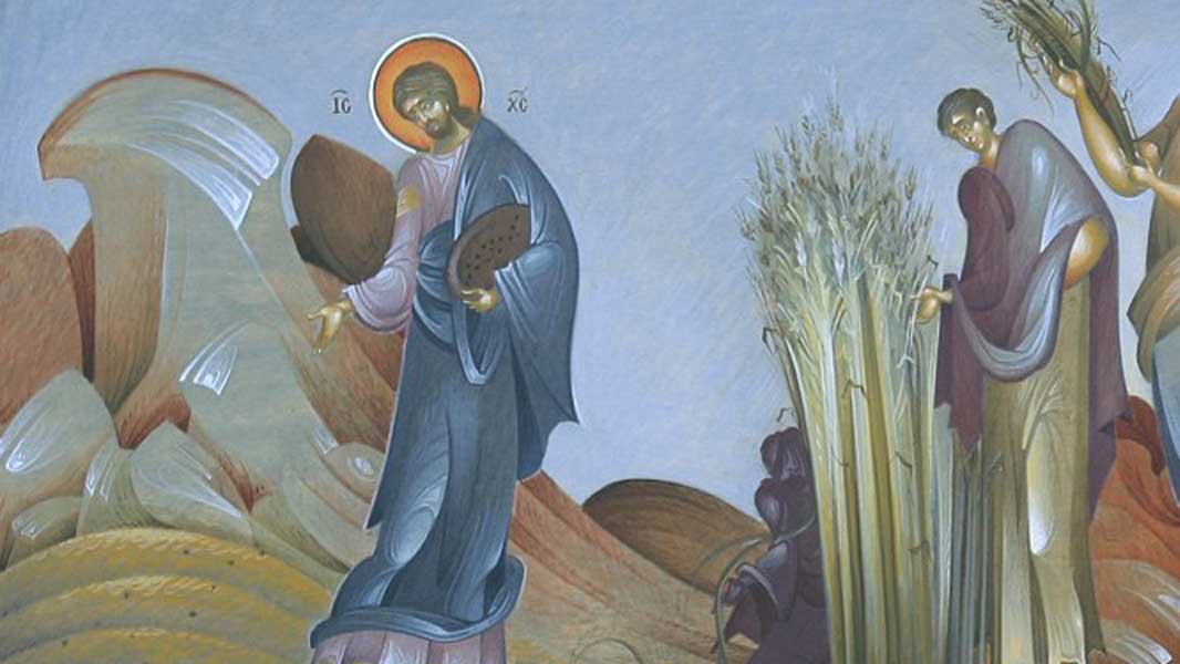 Ευαγγέλιο Κυριακής 15.10.2023 - Ευαγγέλιο - Κείμενα - Απαρχή